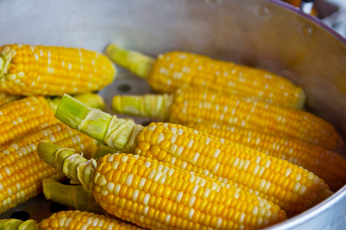 The Farmer's Secret to Growing Prize-Winning Corn